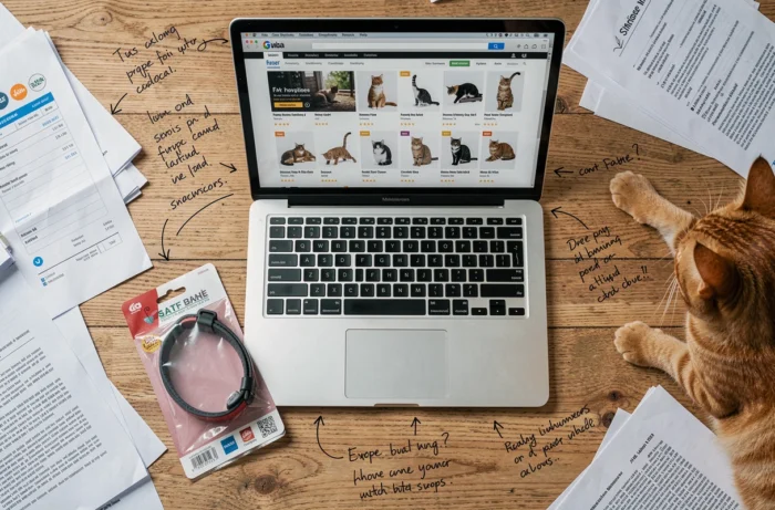Vue de dessus d'un bureau avec une facture suspecte, des accessoires pour chat douteux et un ordinateur affichant un site frauduleux
